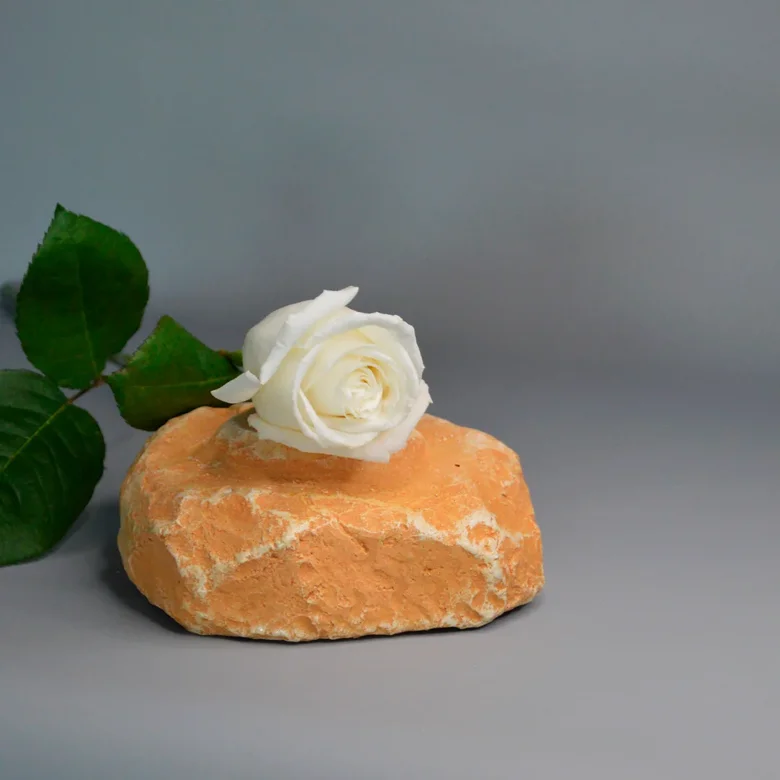 Роза импортная